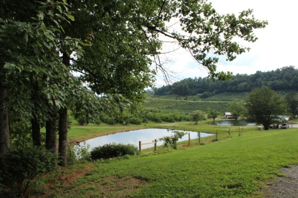 Photo of Others in Hendersonville