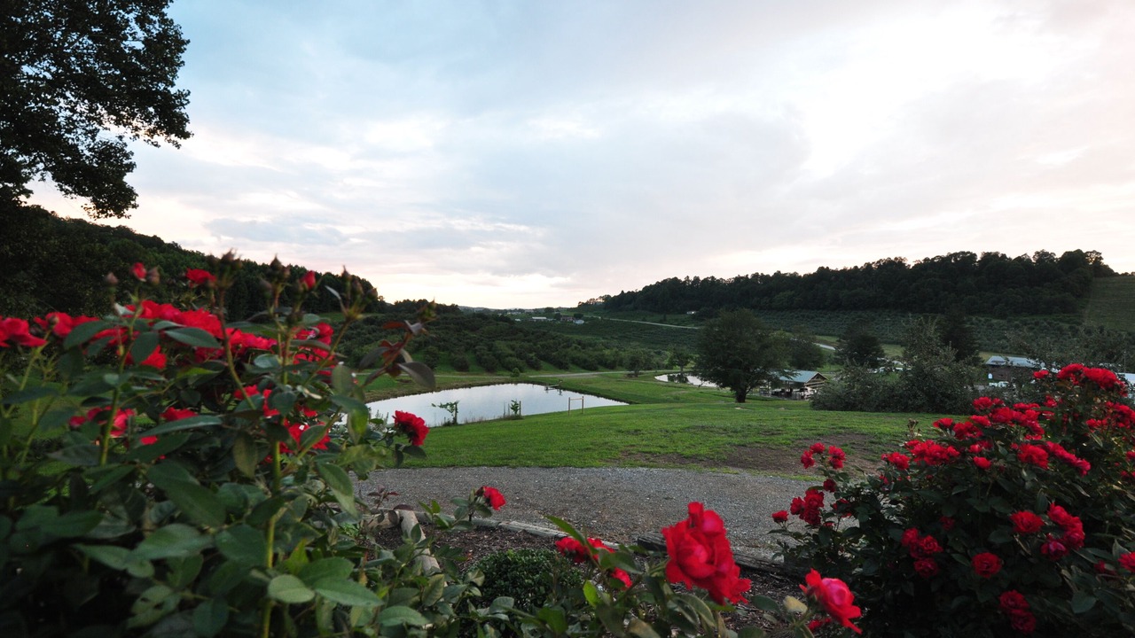 Photo of Outdoor in Hendersonville