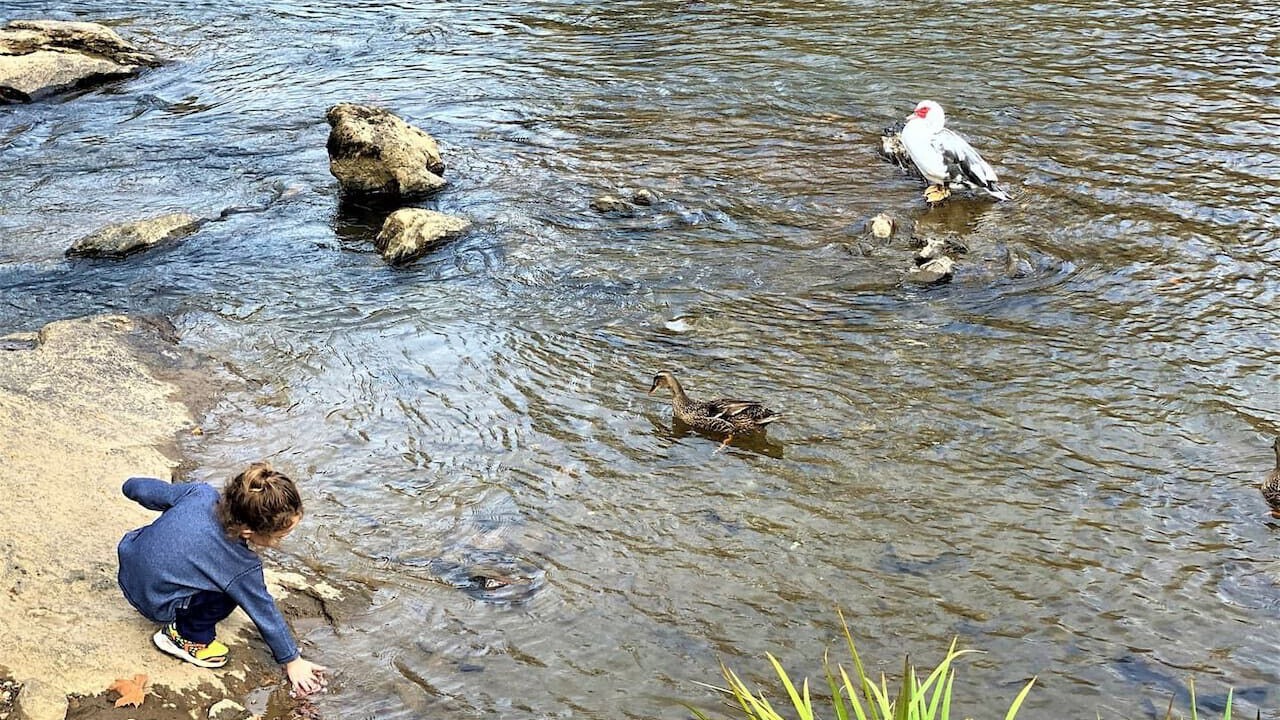 Photo of Others in Sylva