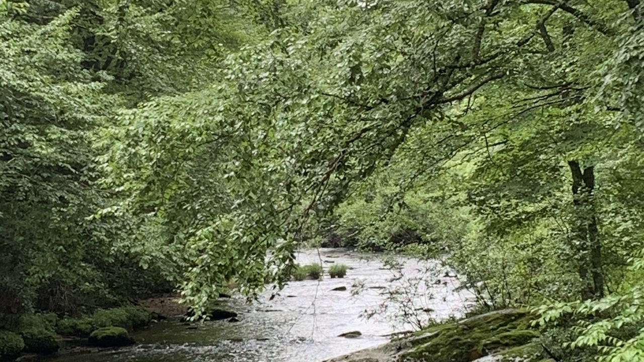 Photo of Outdoor in Newland