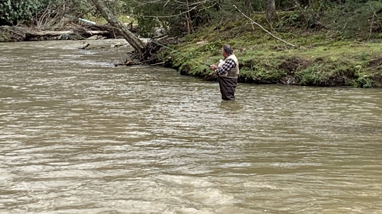Photo of Others in Newland