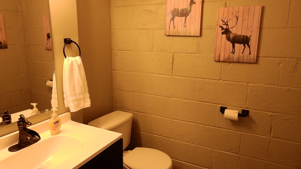 Photo of Bathroom in Qualla