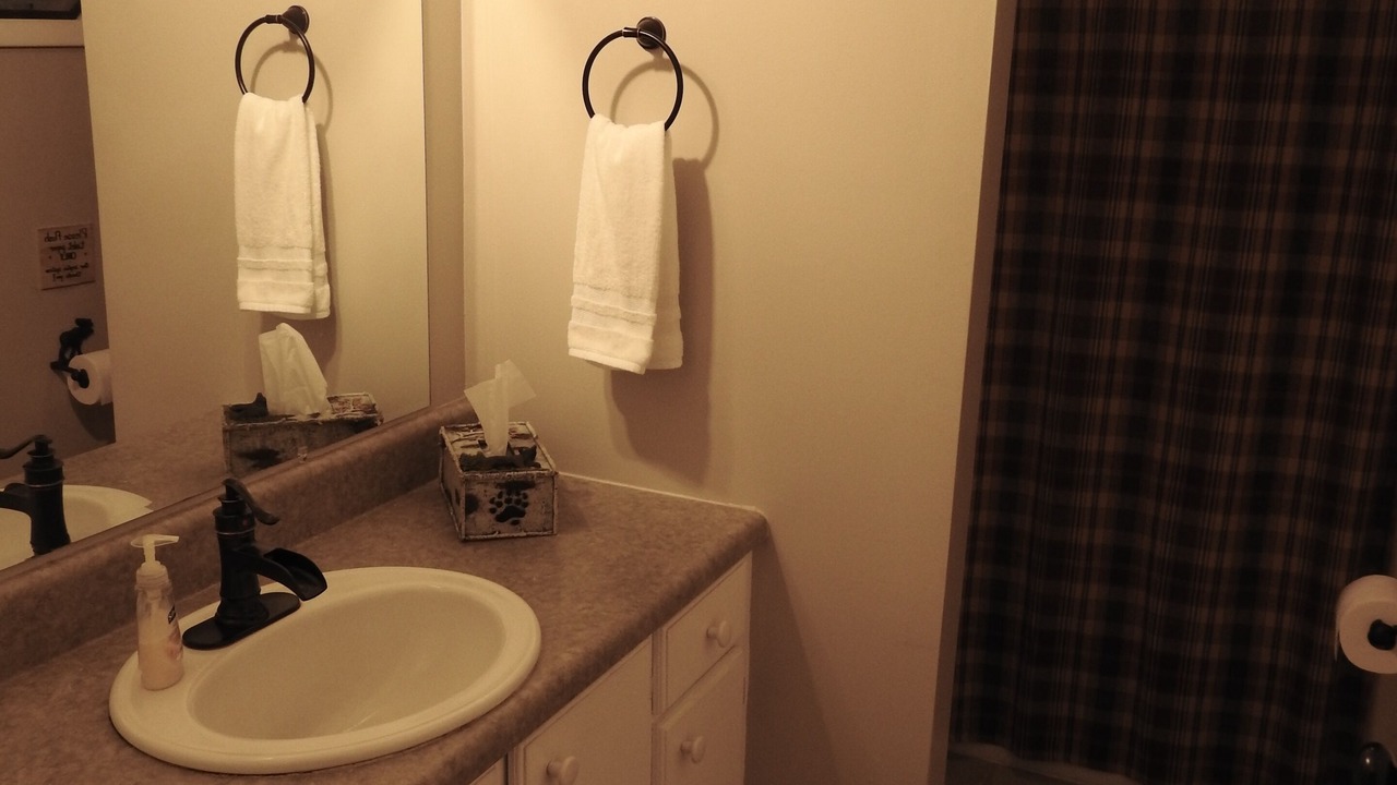 Photo of Bathroom in Qualla
