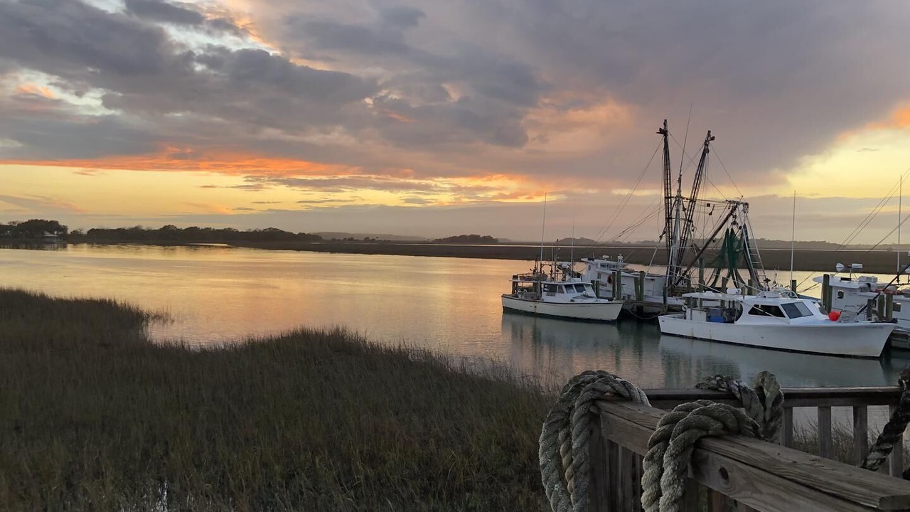 Photo of Others in Folly Beach
