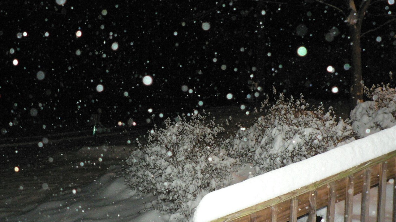 Photo of Outdoor in Flat Rock