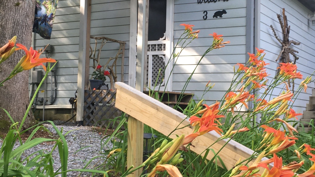 Photo of Outdoor in Flat Rock