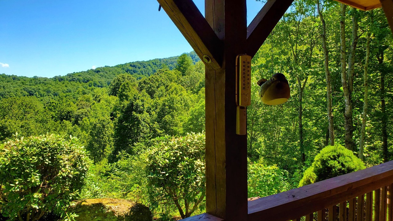 Photo of Outdoor in Waynesville