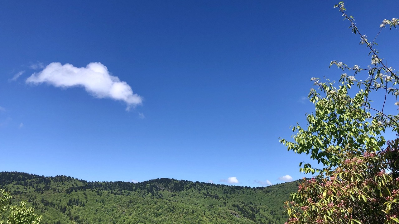 Photo of Others in Walker-In-the-Hills