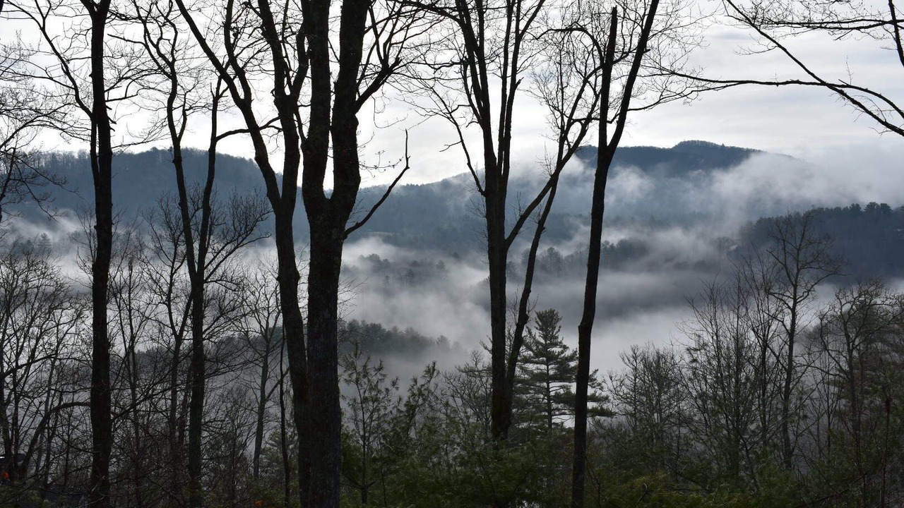 Photo of Outdoor in Cashiers