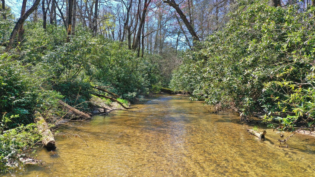 Photo of Others in Cullowhee