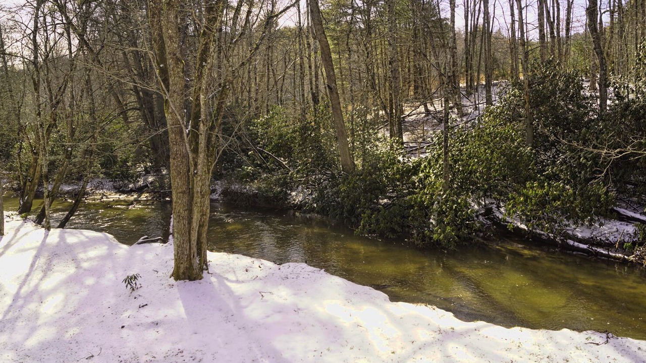 Photo of Others in Cullowhee