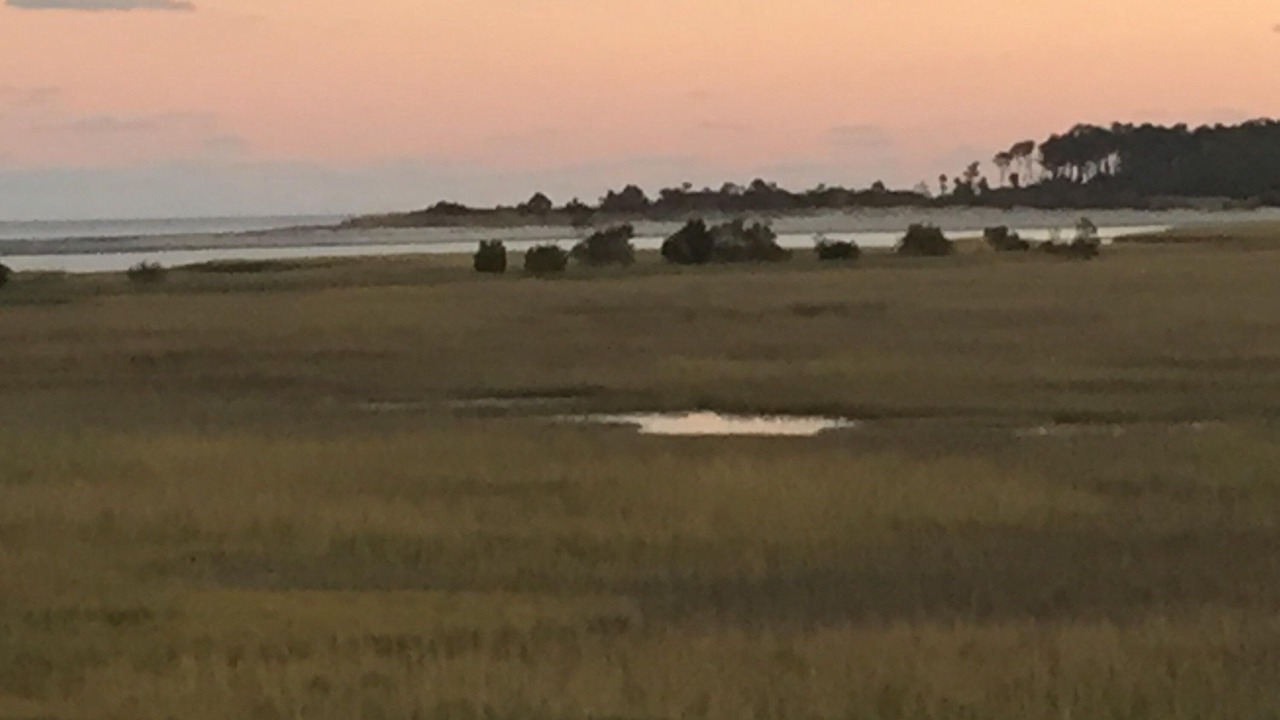 Photo of Others in Oceanmarsh Subdivision