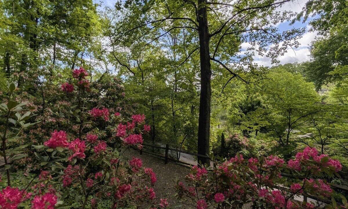 Photo of Outdoor in Lake Junaluska