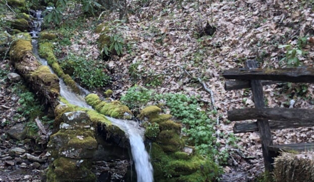 Photo of Others in Maggie Valley