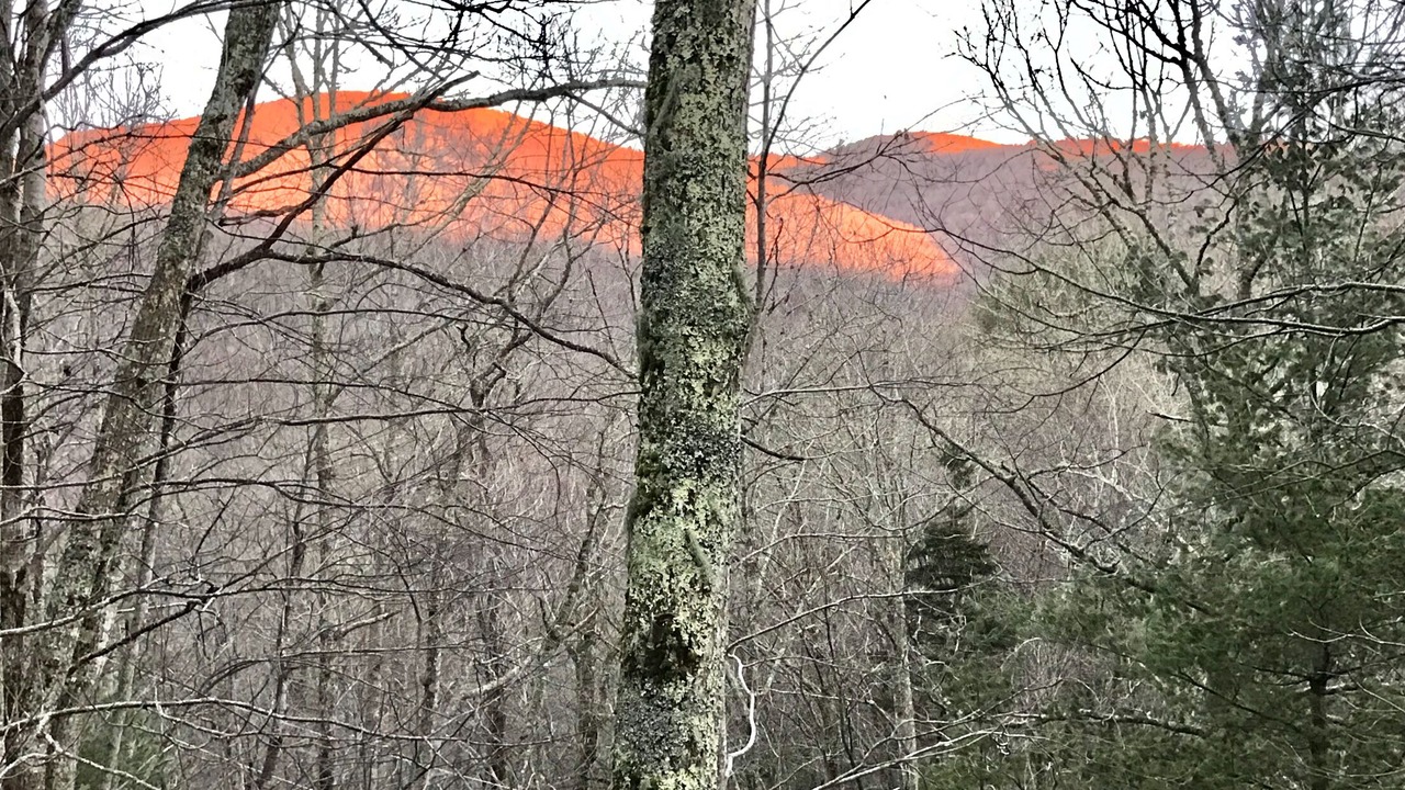 Photo of Others in Maggie Valley