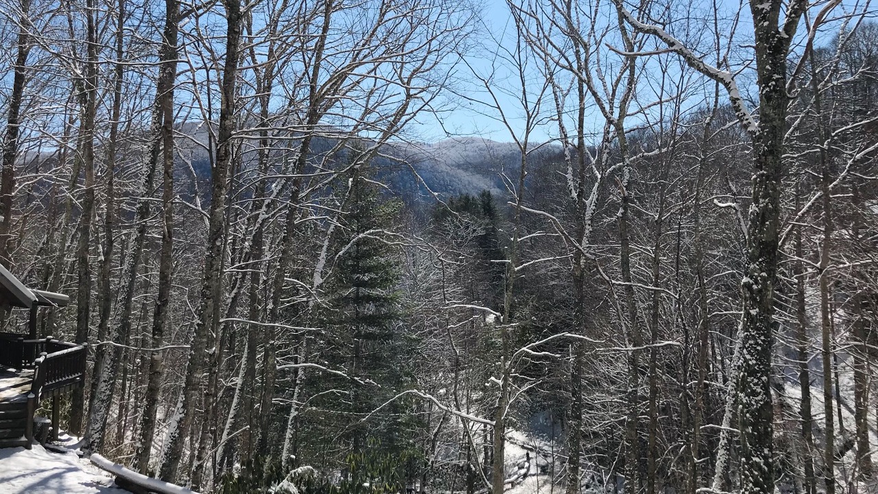 Photo of Others in Maggie Valley