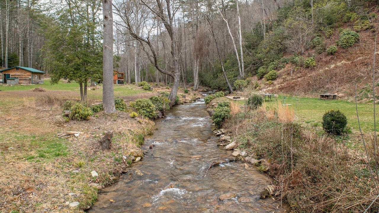 Photo of Others in Pisgah Forest