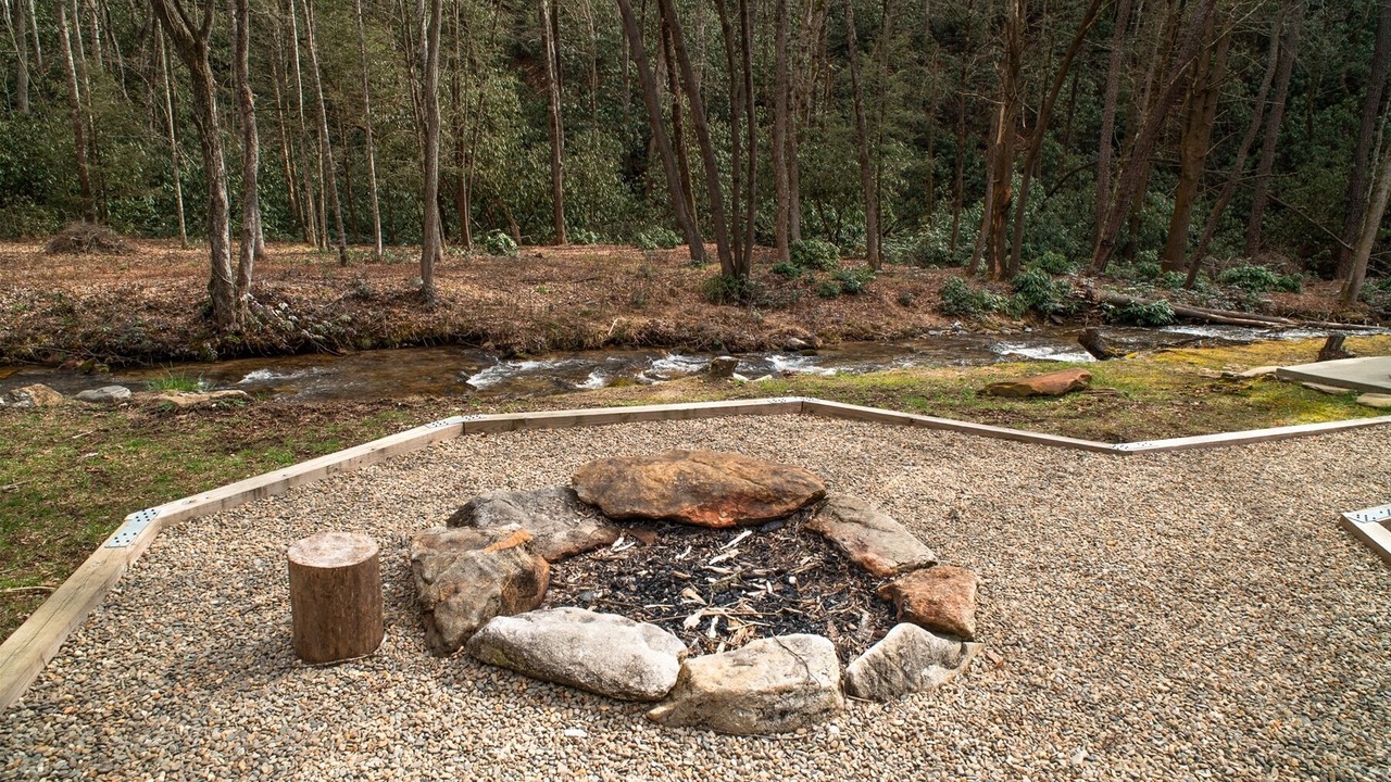 Photo of Others in Pisgah Forest