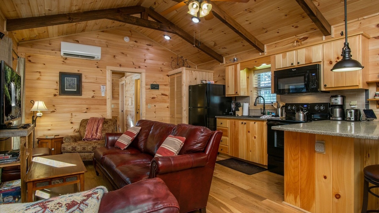 Photo of Livingroom in Pisgah Forest