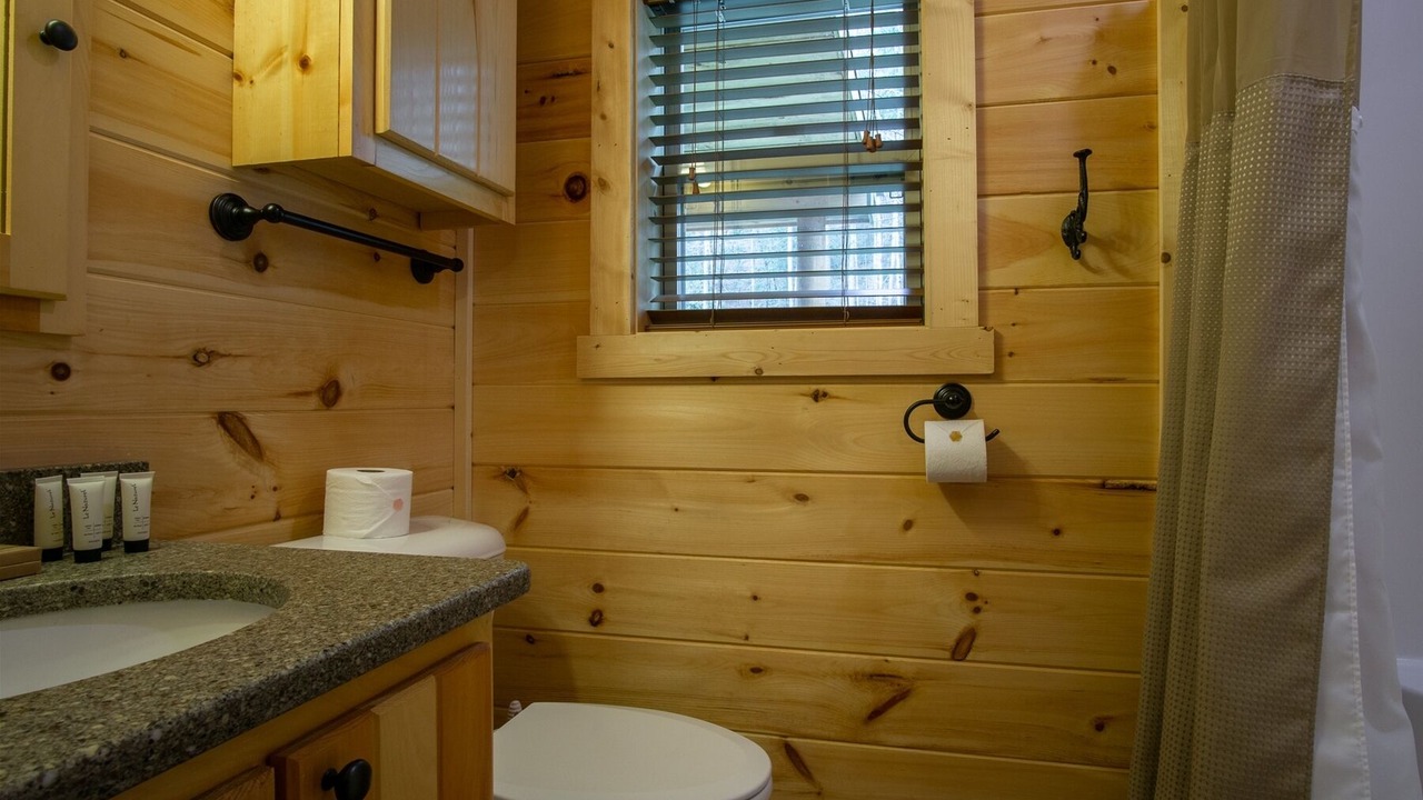 Photo of Bathroom in Pisgah Forest