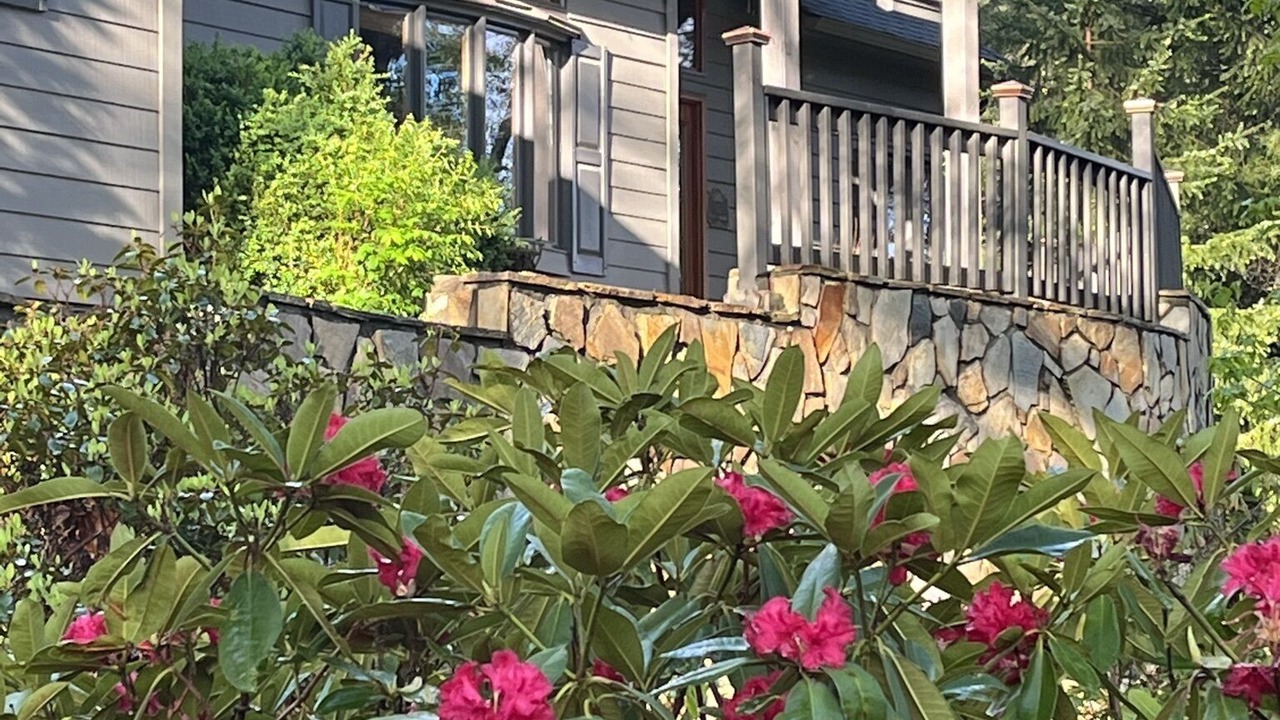 Photo of Outdoor in Sapphire