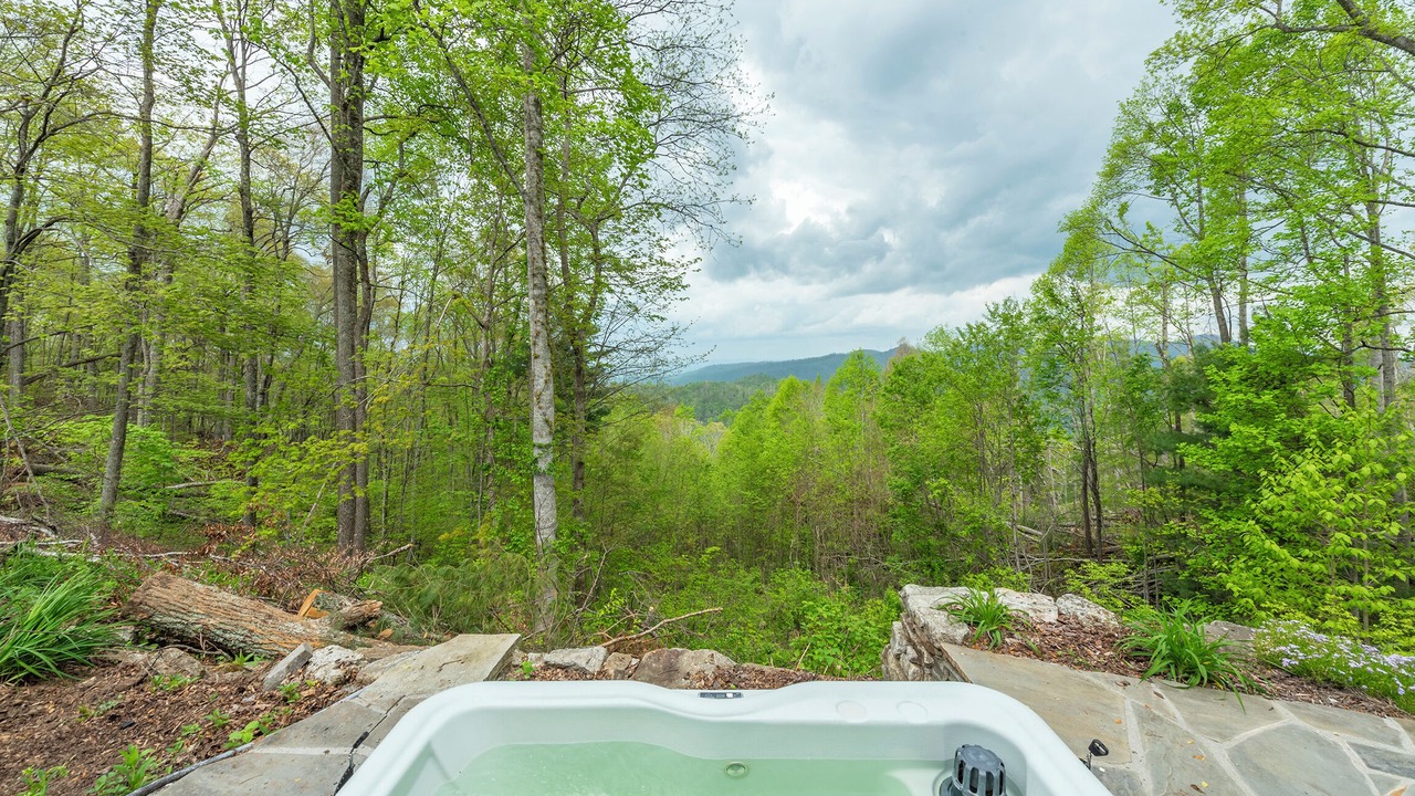 Photo of Outdoor in Weaverville