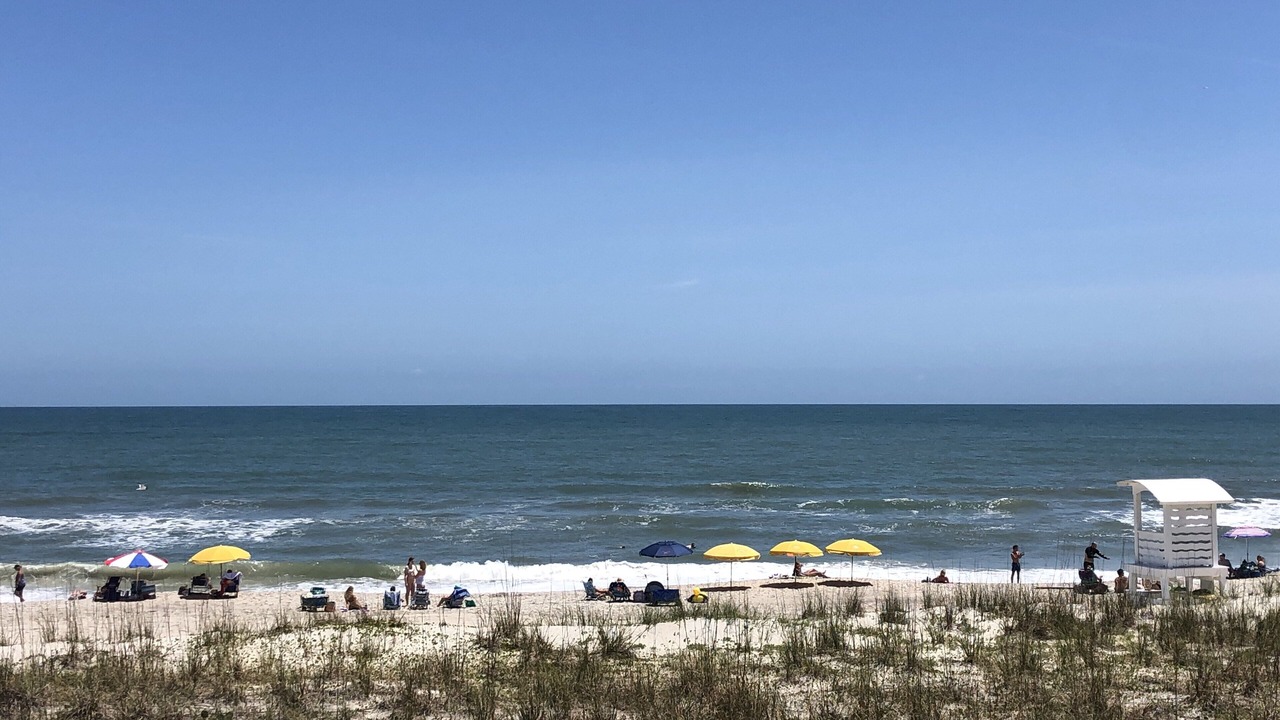 Photo of Others in Wilmington Beach