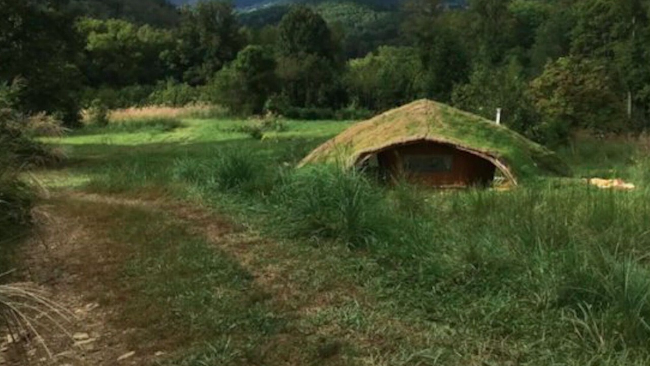 Photo of Others in Weaverville