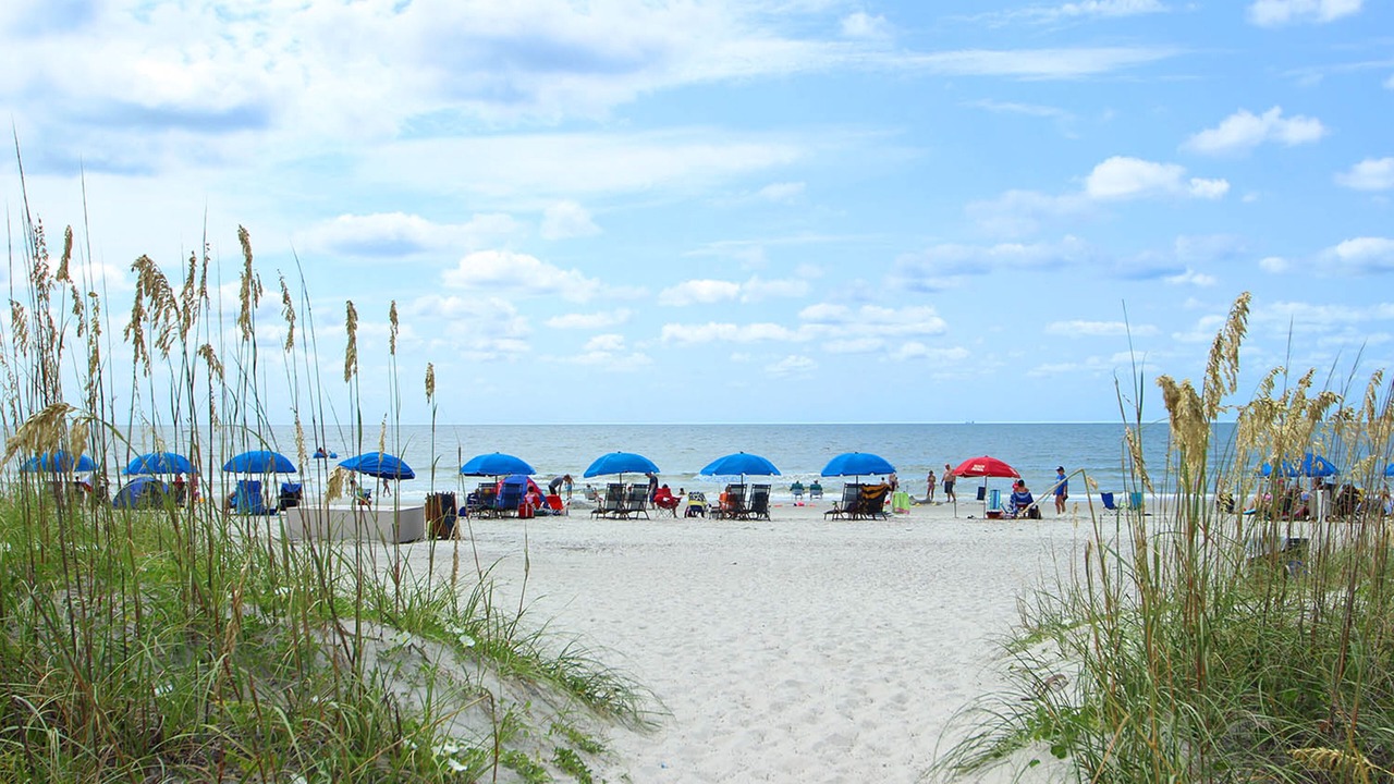 Photo of Others in Hilton Head Island