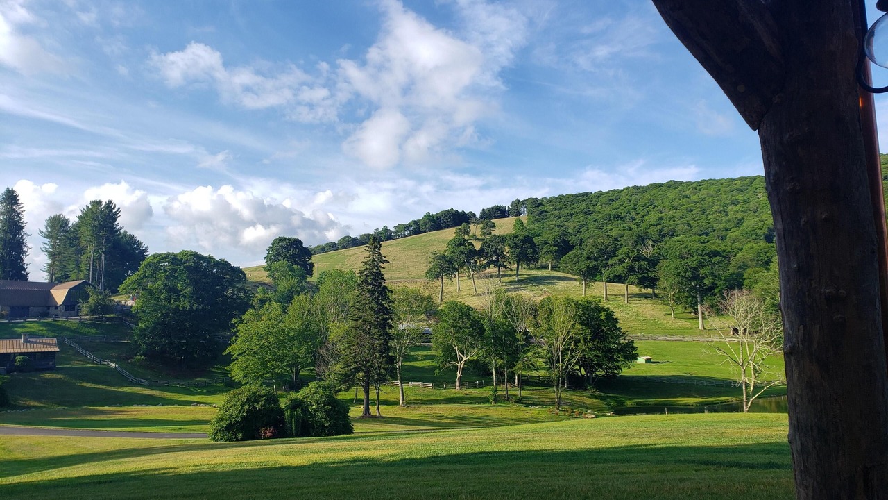 Photo of Outdoor in Waynesville