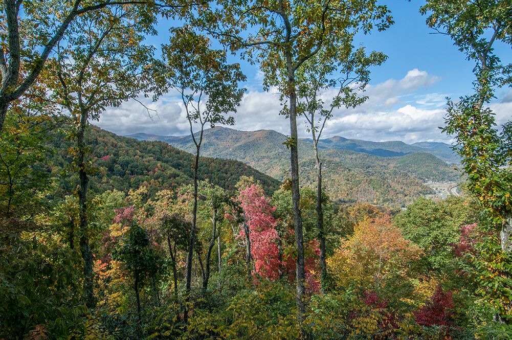 Photo of Outdoor in Waynesville