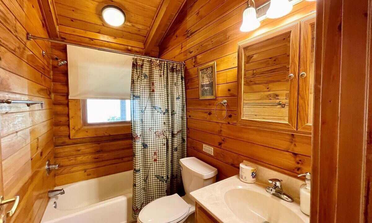 Photo of Bathroom in Lansing