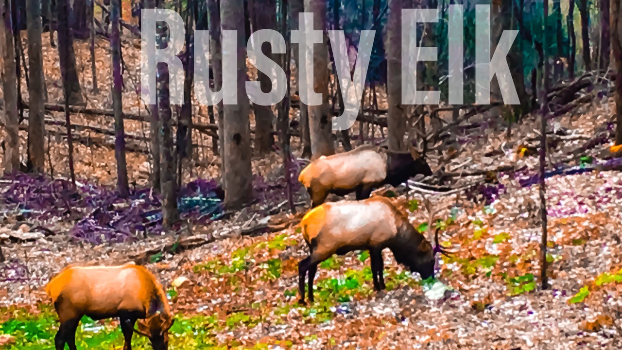 Photo of Others in Cataloochee Ranch