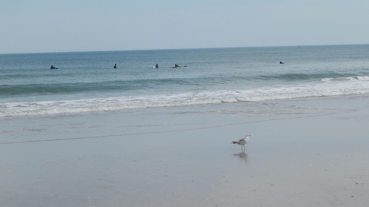 Photo of Others in Wrightsville Beach