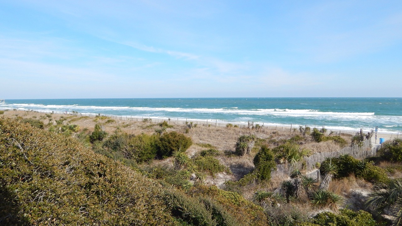 Photo of Others in Wrightsville Beach