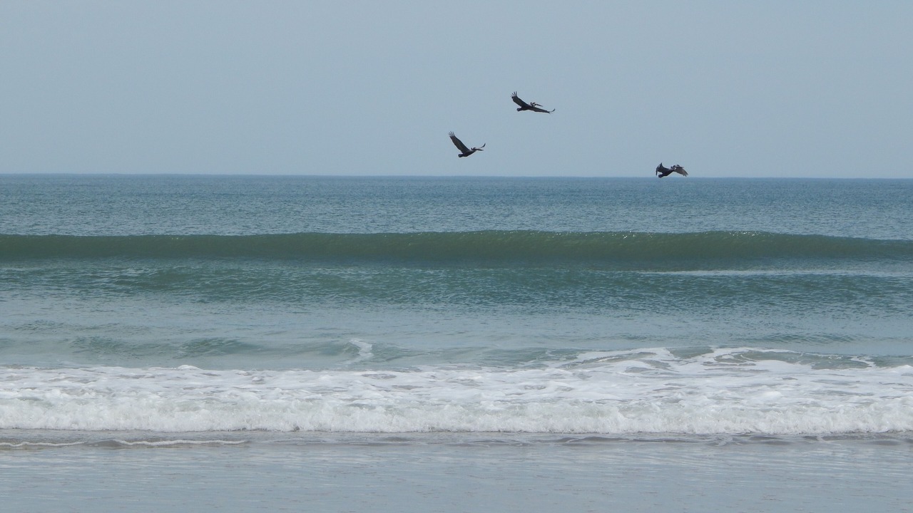 Photo of Others in Wrightsville Beach
