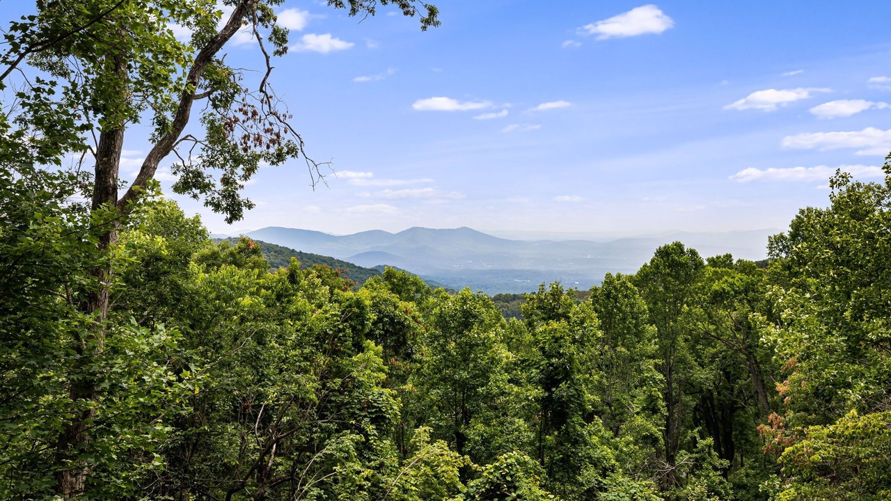 Photo of Others in Asheville