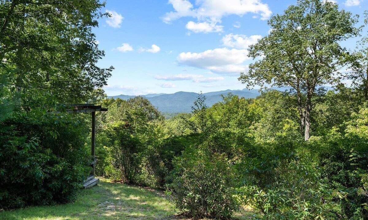 Photo of Others in Pisgah Forest