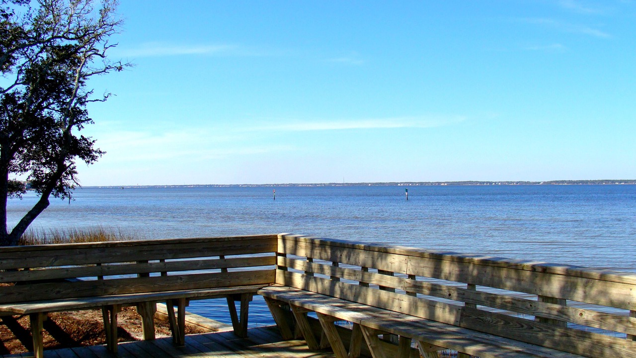 Photo of Others in Pine Knoll Shores