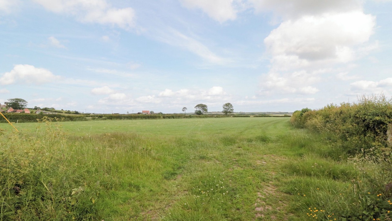 Photo of Others in Briggswath