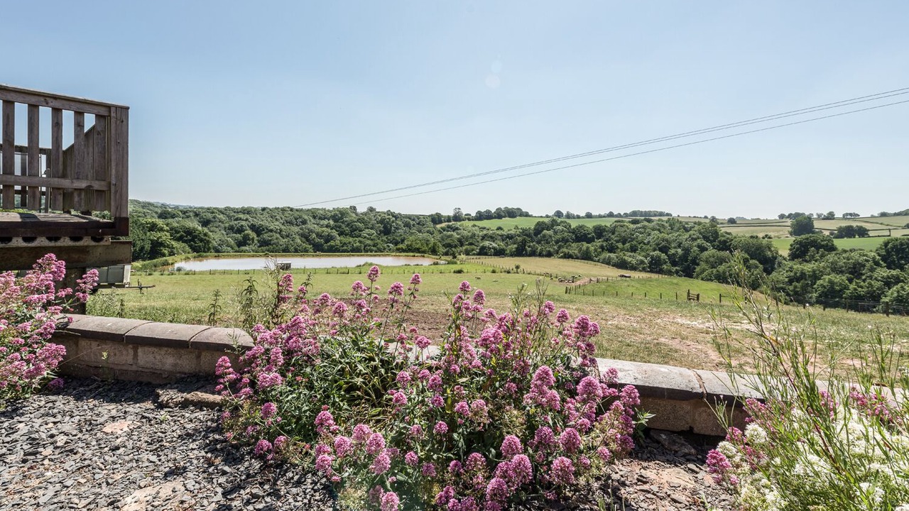 Photo of Outdoor in Billingsley