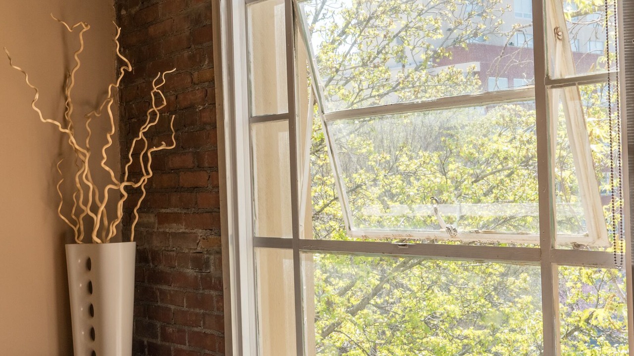 Photo of Others in Downtown Asheville