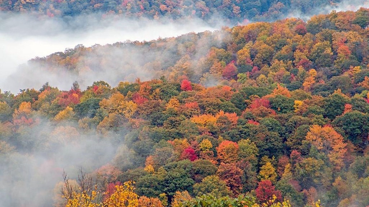 Photo of Others in Maggie Valley