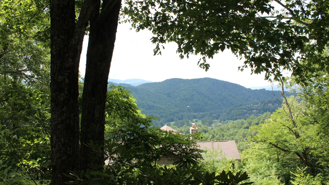 Photo of Others in Boone