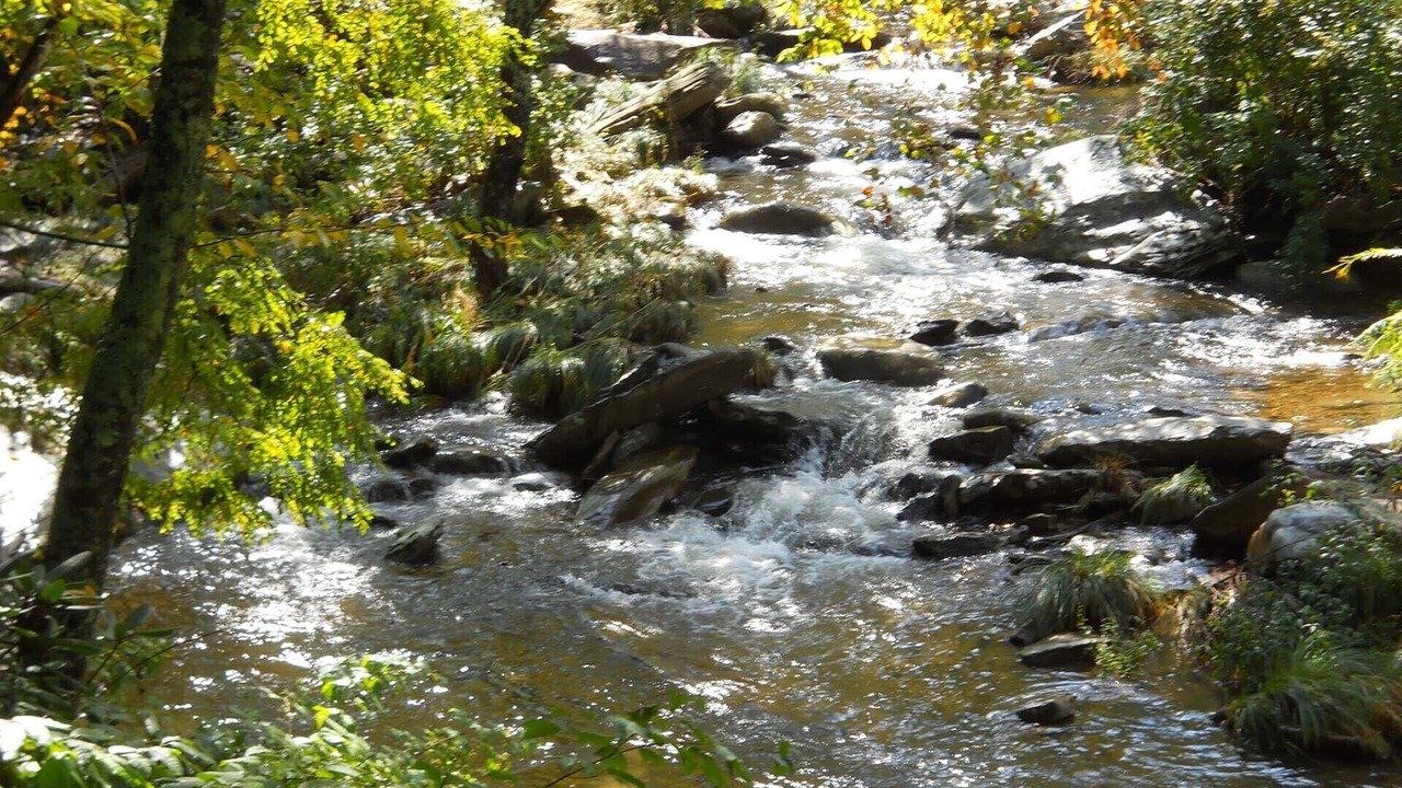 Photo of Others in Boone