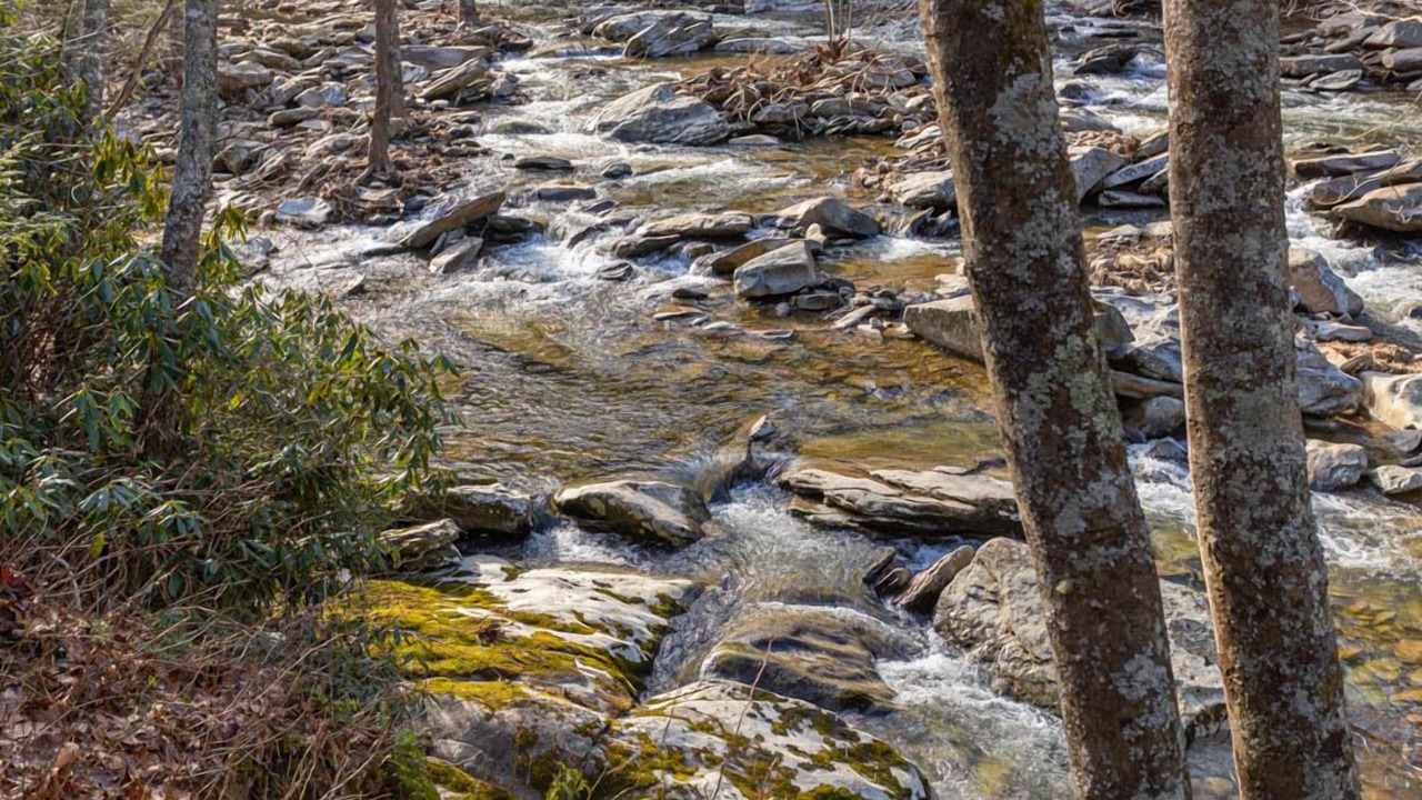 Photo of Others in Boone