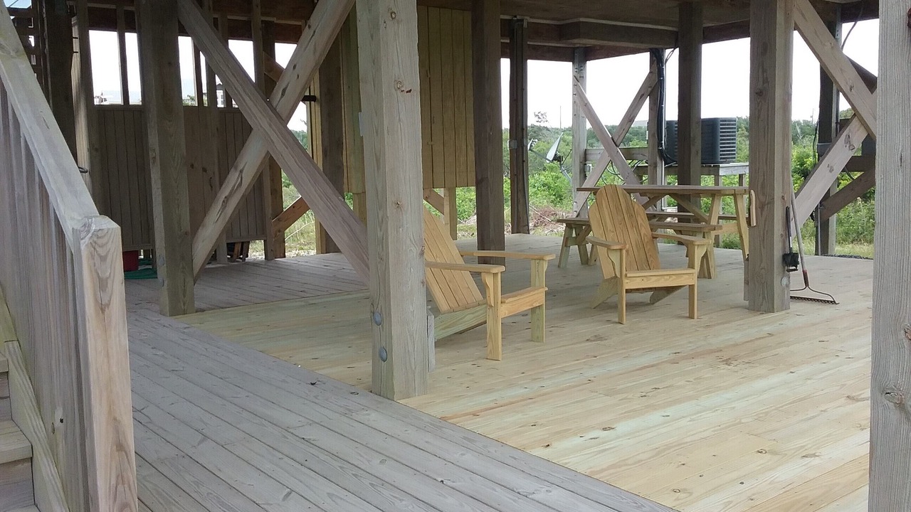 Photo of Outdoor in Carova Beach