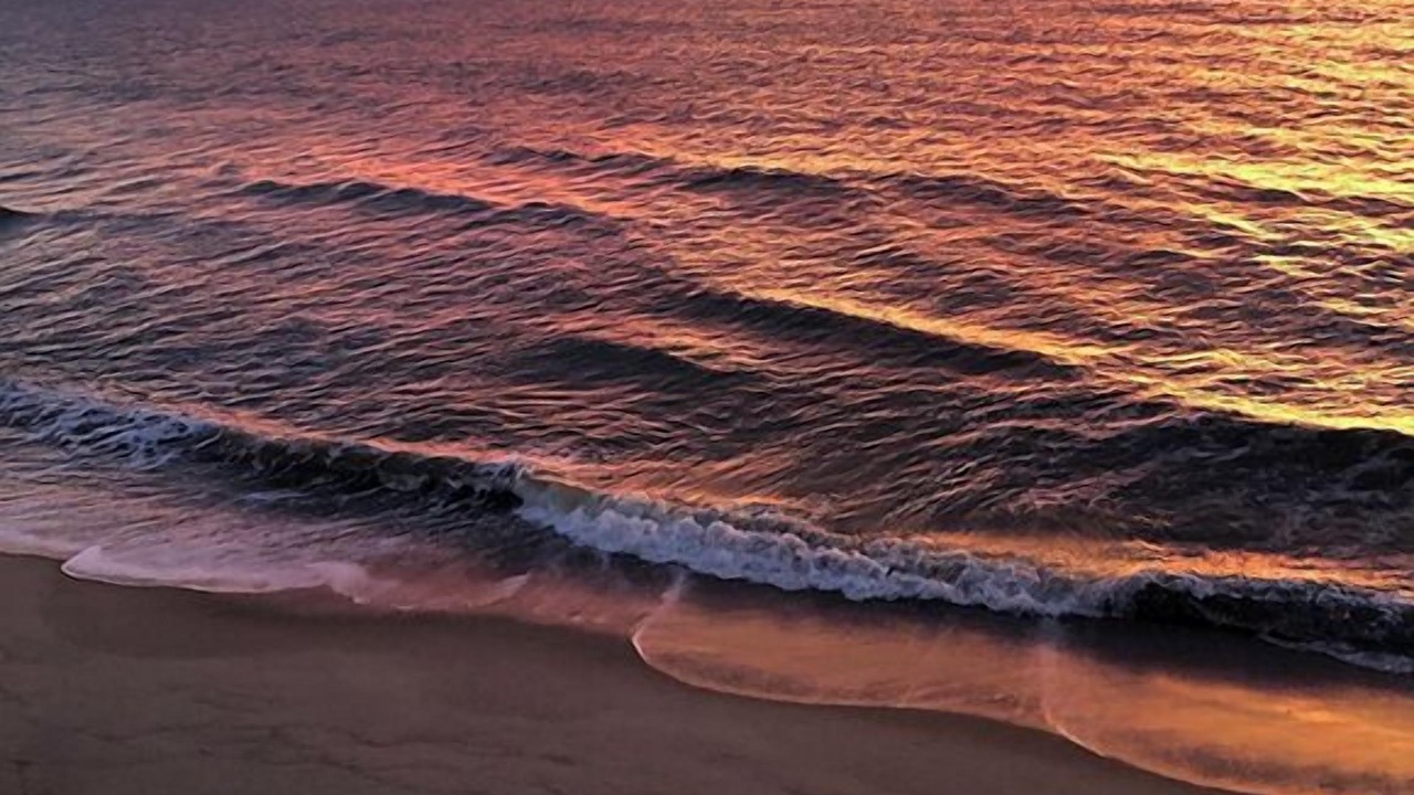 Photo of Others in Kure Beach