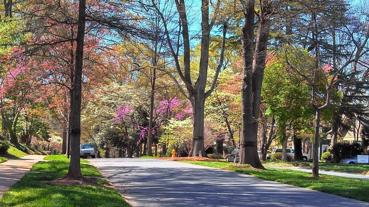 Photo of Others in Myers Park