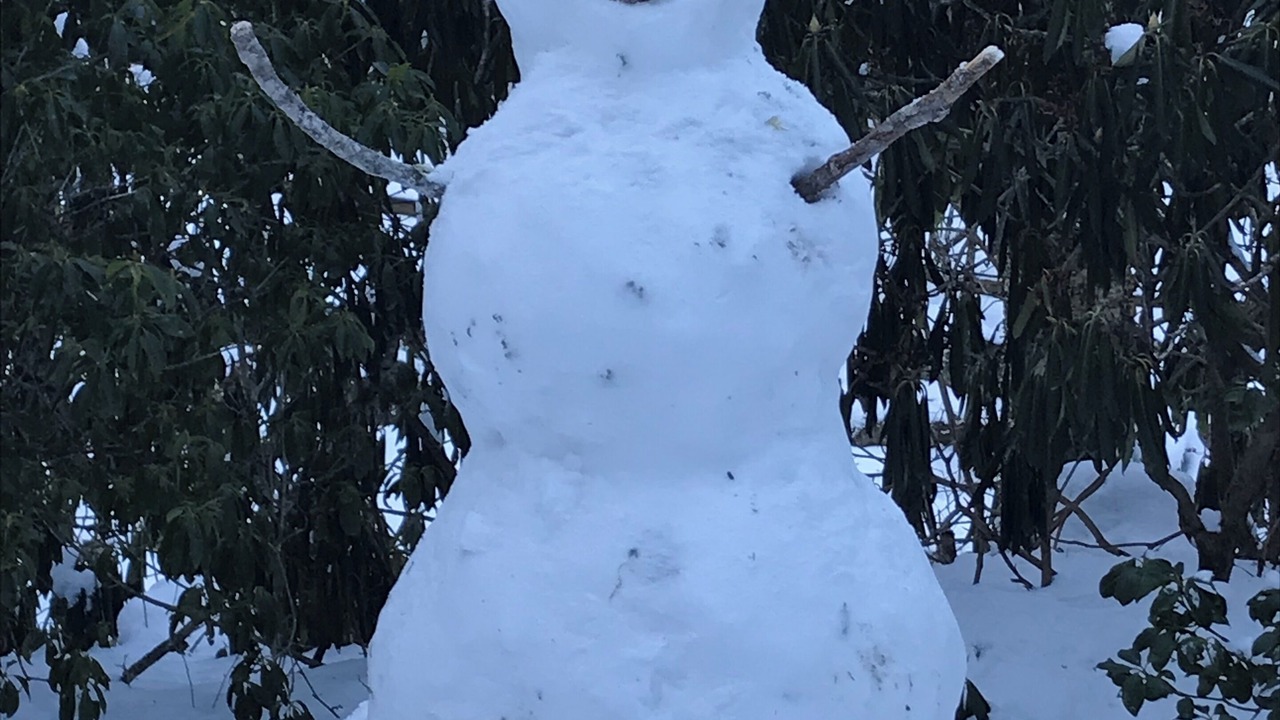 Photo of Outdoor in Sugar Mountain